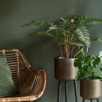 tropiart.pl-tropiart.pl-503-3491