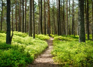 Merida Silex 400 – gravelowy towarzysz przygód agasport.pl - art1 - lukasz.jpg